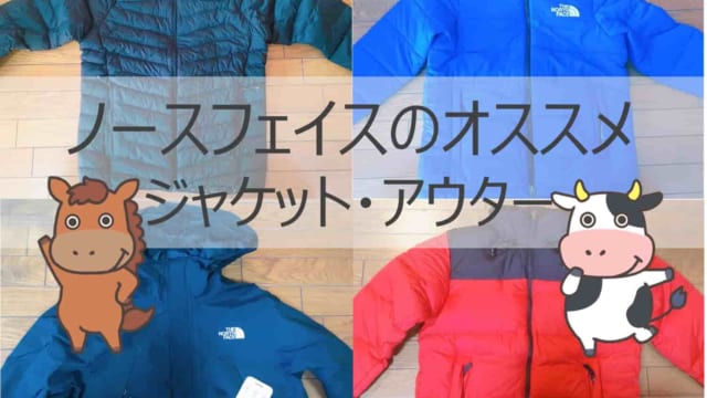 限定タイムセール 新品 XXL ノースフェイス オフホワイトハーフパンツ