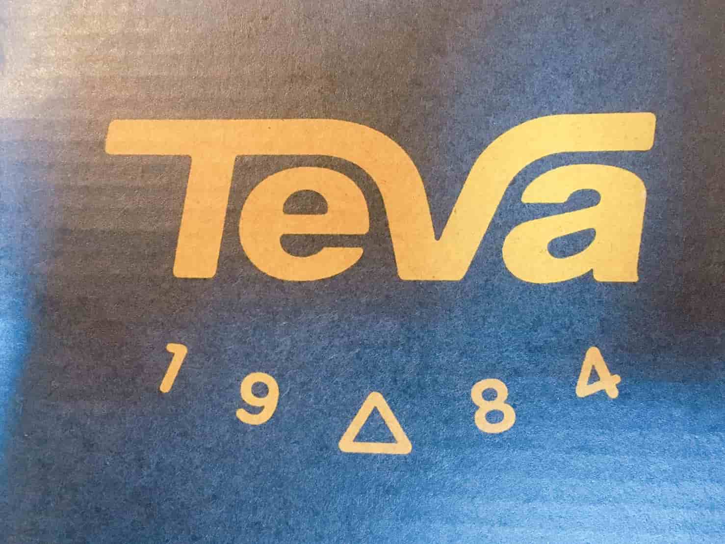 テバ　ロゴ