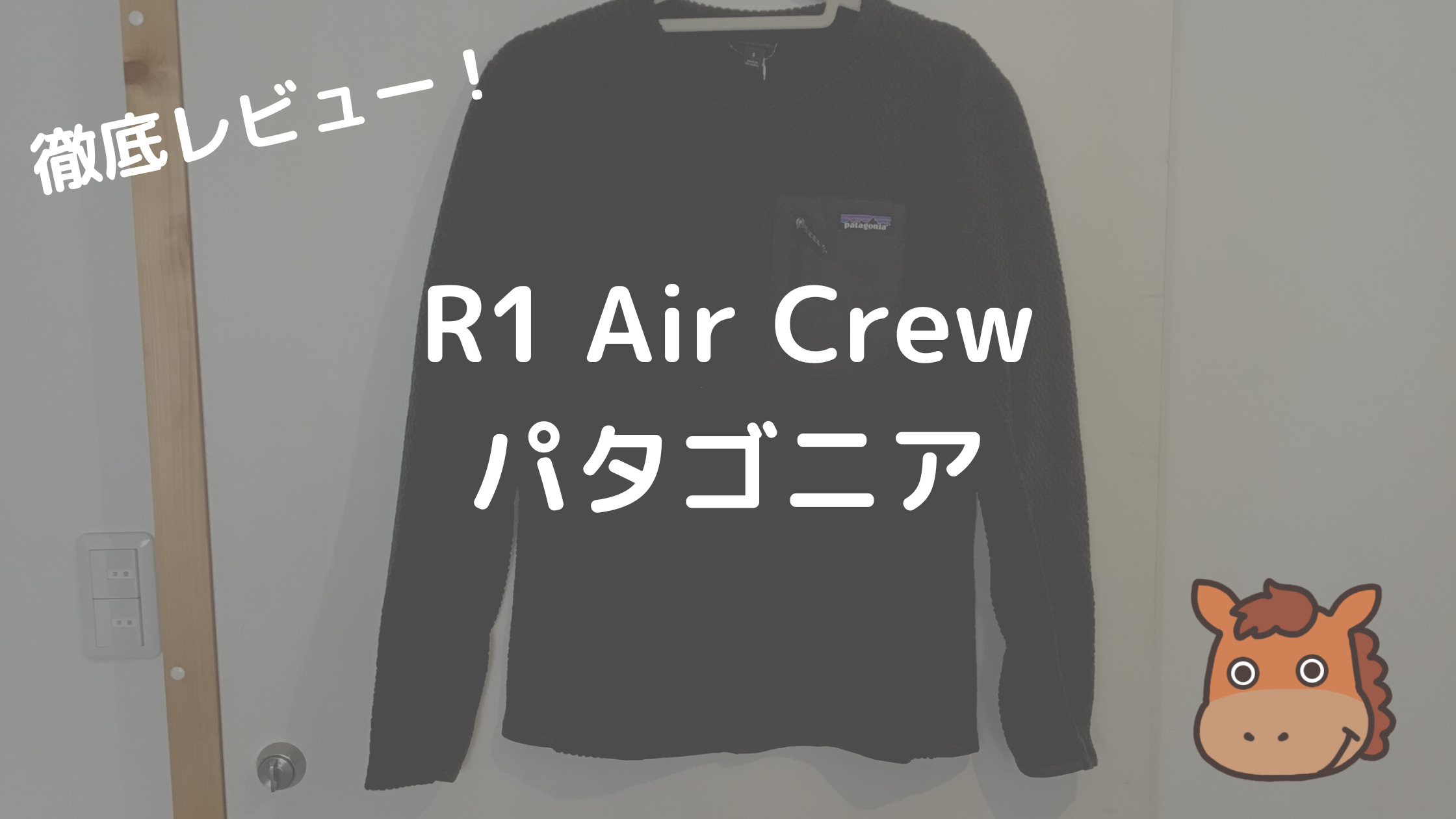 パタゴニアのフリース「R1 Air Crew」を元アウトドア店員が徹底 