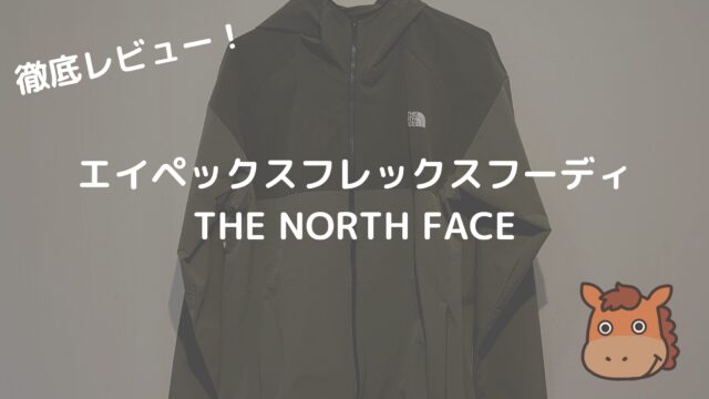 THE NORTH FACE エイペックスフレックスフーディ
