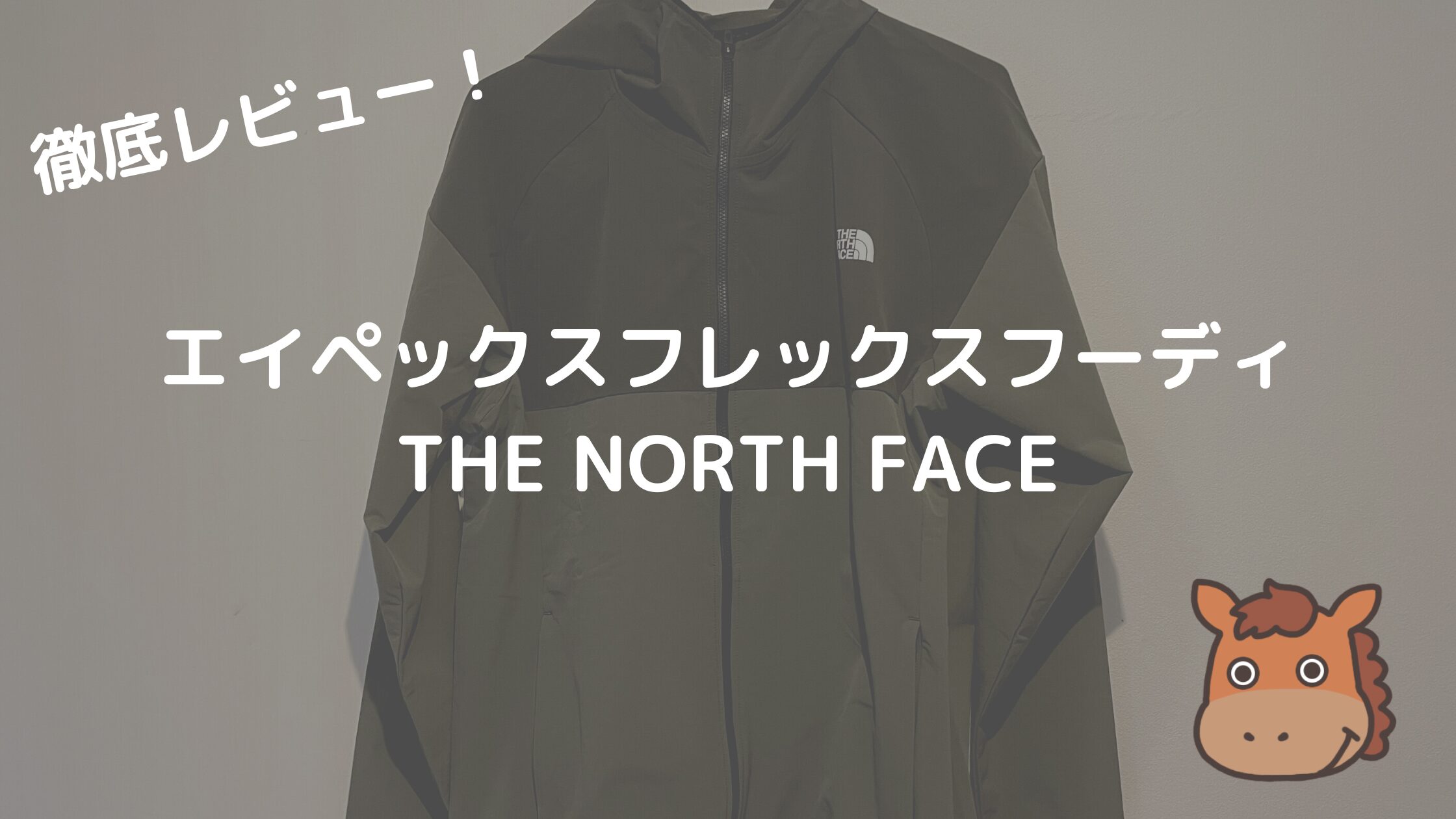 THE NORTH FACE「エイペックスフレックスフーディ(ソフトシェル